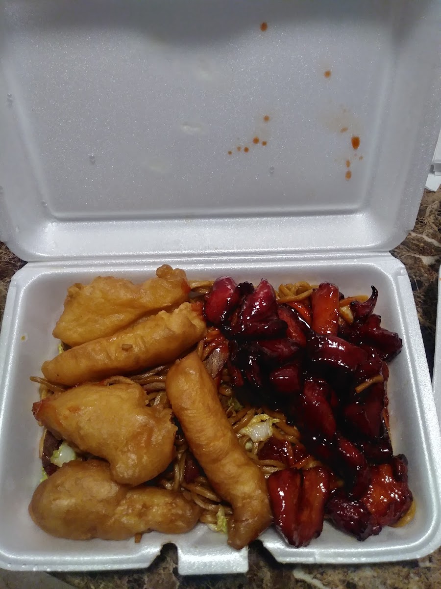 Little Panda Photos 2